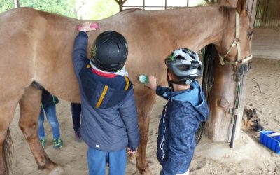 Reiten – ein Projekt mit Tradition