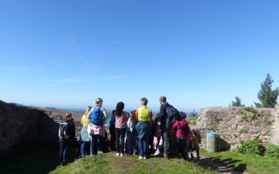 Auf der Spur der Ritter und Geister