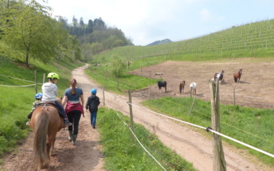 Ein unvergessliches Erlebnis – Reitprojekt 2023